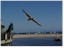 Capitola 01