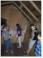 Mystery Spot 3