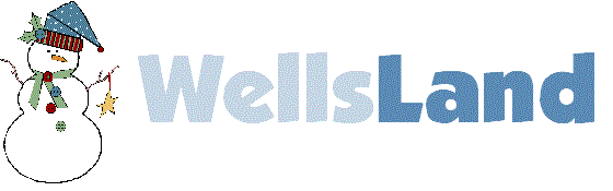 Wellsland